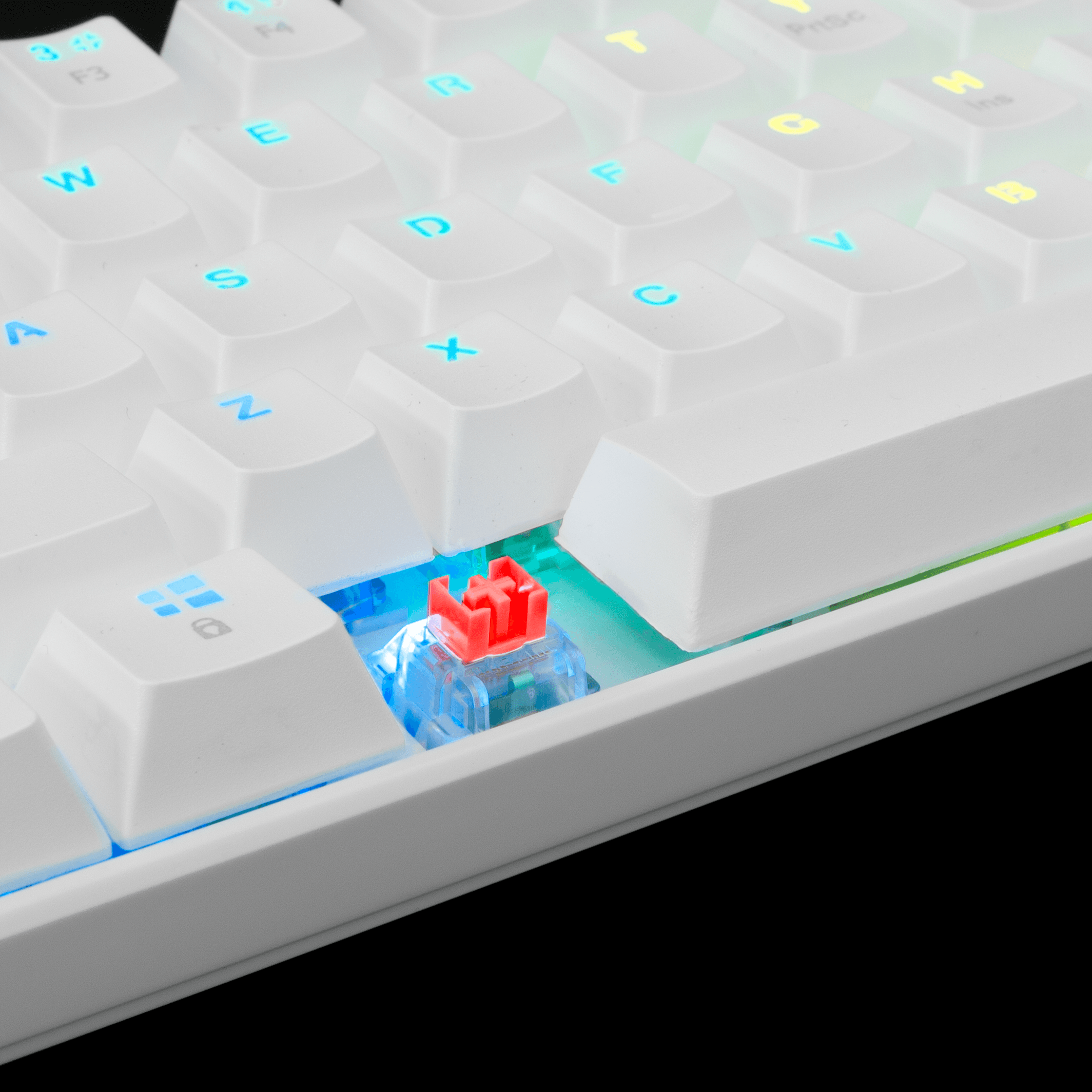 White Shark SHINOBI Keyboard - White (Red Mechanical Switches) [US Layout] - GameStore.mt | Powered by Flutisat