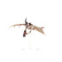 Tyranids: Gargoyles (Warhammer 40,000 | 51-12)