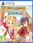 Story of Seasons: Grand Bazaar (PS5)