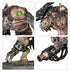 Age of Sigmar: Starter Set (EN) (Warhammer Age of SIgmar | 80-19)
