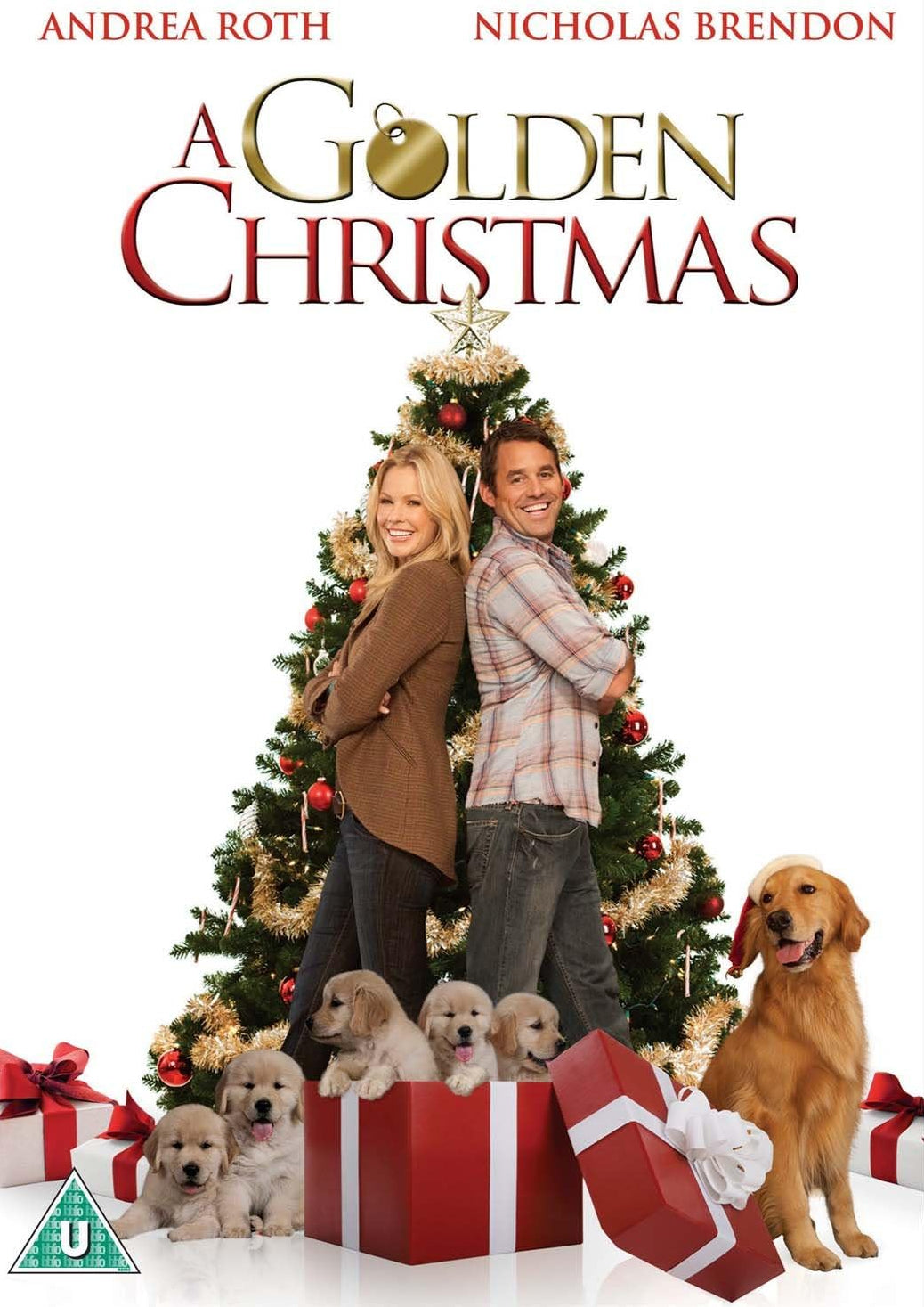 A Golden Christmas (2009) (DVD Movie) (Pre-owned)