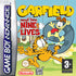 Garfield and His Nine Lives (Nintendo Game Boy Advance) (Pre-owned)