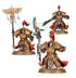 Adeptus Custodes: Allarus Custodians (Warhammer 40,000 | 01-13)