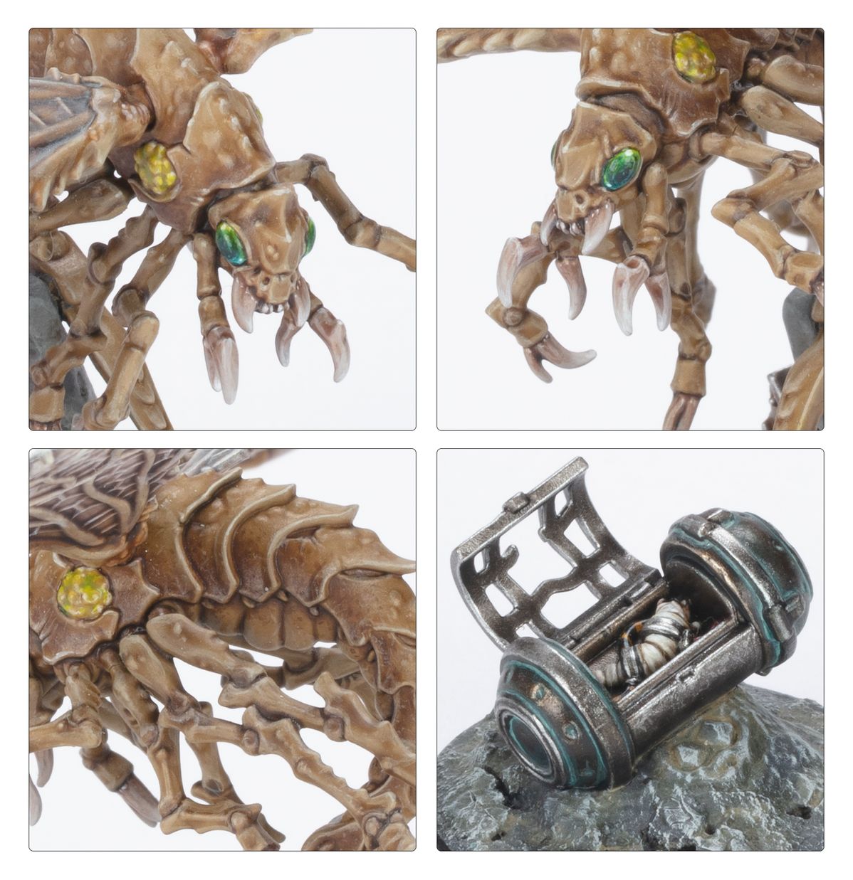 Necromunda: Nomads Ashwing Helamites (Warhammer 40,000 | 301-60)