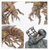 Necromunda: Nomads Ashwing Helamites (Warhammer 40,000 | 301-60)