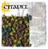 Barbed Bracken (Citadel | 64-52)