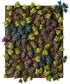 Barbed Bracken (Citadel | 64-52)