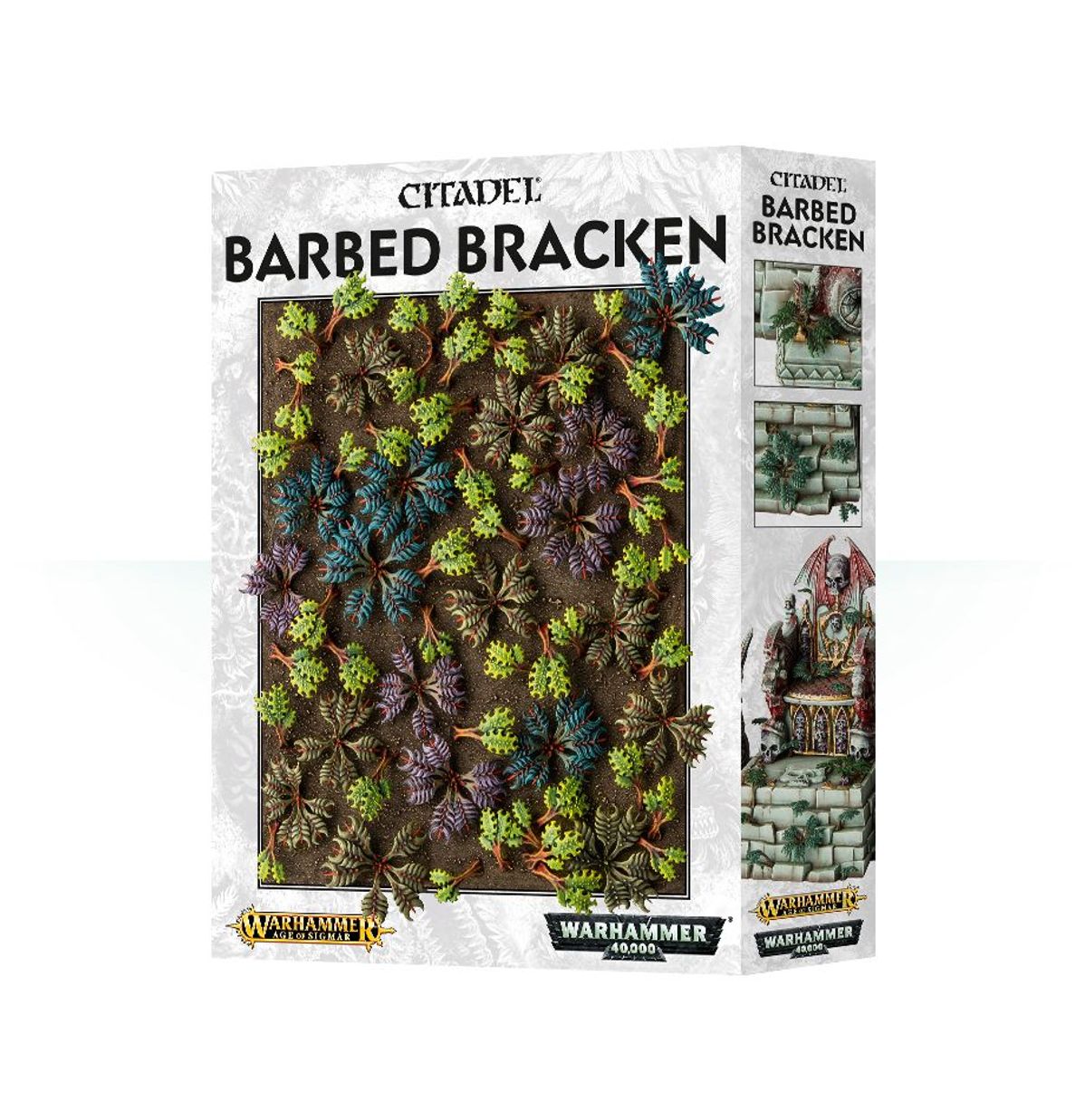 Barbed Bracken (Citadel | 64-52)