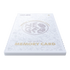 NEOGEO AES+ Anniversary Edition Console (Pre-order)