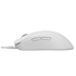 Baracuda ORCA Membrane RGB Gaming Keyboard & Mouse Combo (BGC-011)