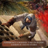 Assassin's Creed Mirage (PS4) - GameStore.mt