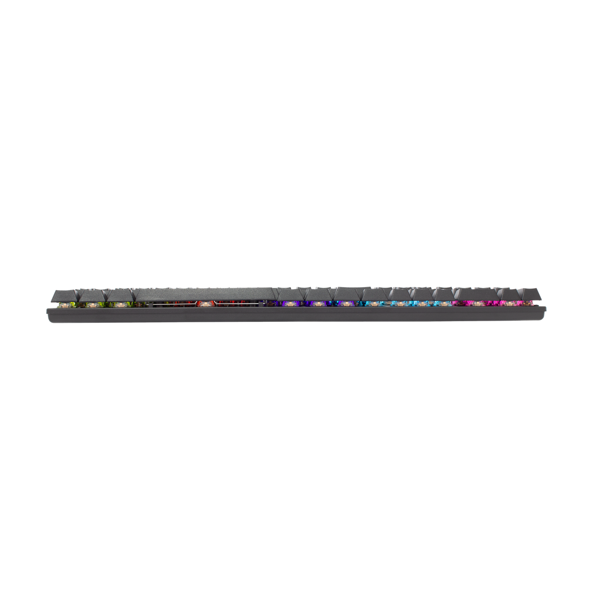 White Shark Commandos Elite - Wired Mechanical Keyboard (Blue Switches) (Black) [US Layout]