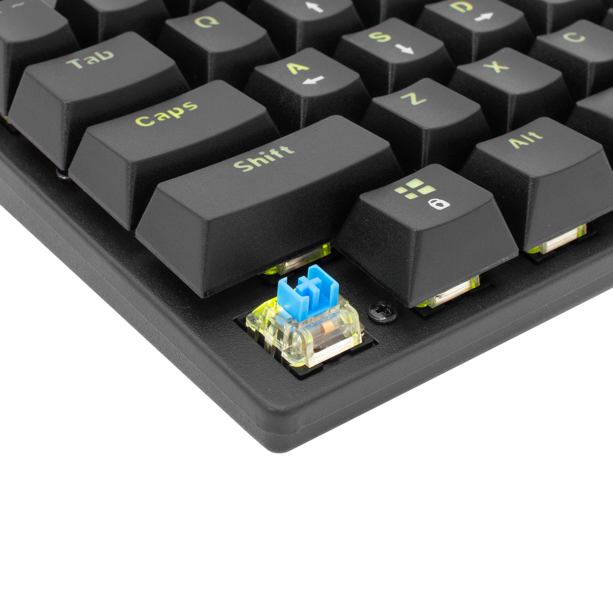 White Shark Commandos Elite - Wired Mechanical Keyboard (Blue Switches) (Black) [US Layout]