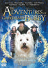 The Adventures of Greyfriars Bobby (2005) (DVD Movie) (Pre-owned)