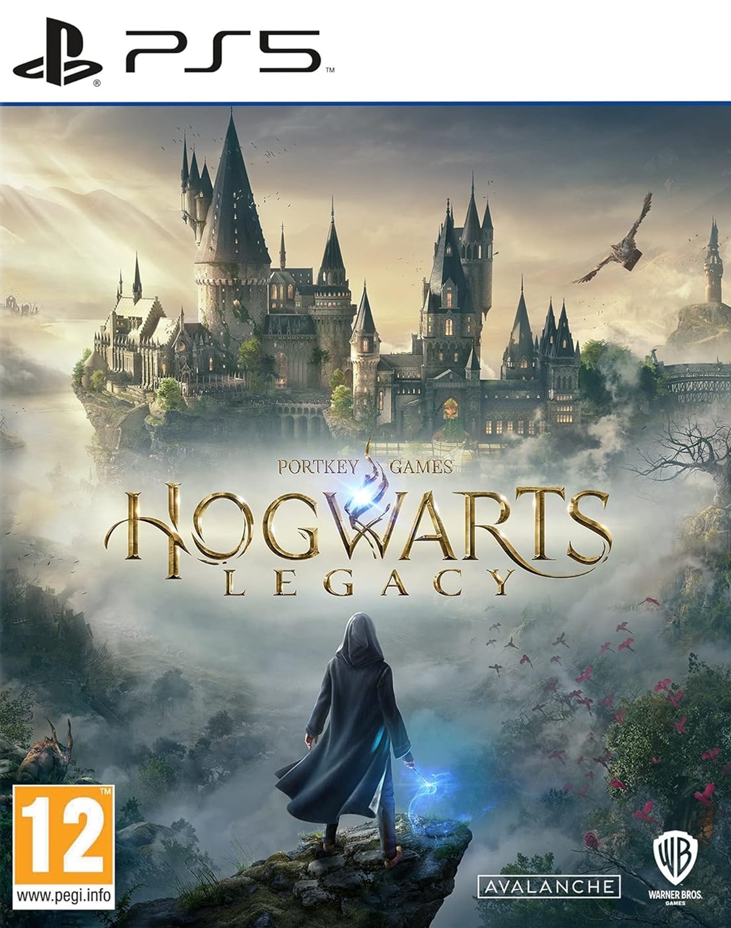 Hogwarts Legacy (PS5) (Pre-owned)