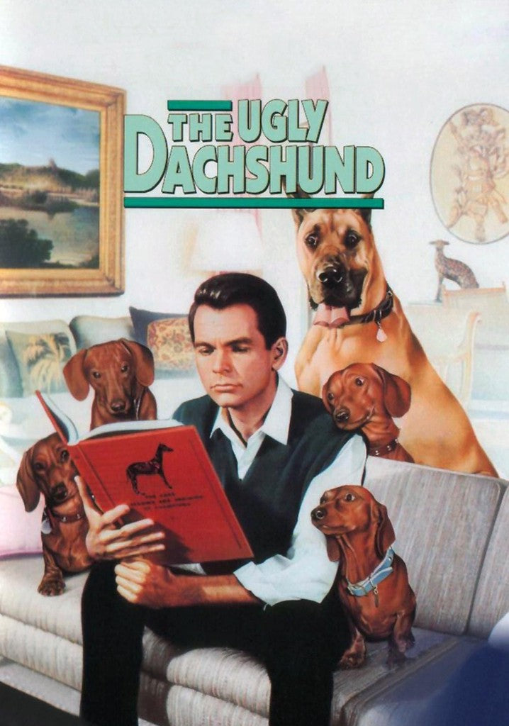 The Ugly Dachshund (1966) (DVD Movie) (Pre-owned)