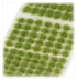 Verdia Veldt Tufts (Citadel | 66-25)