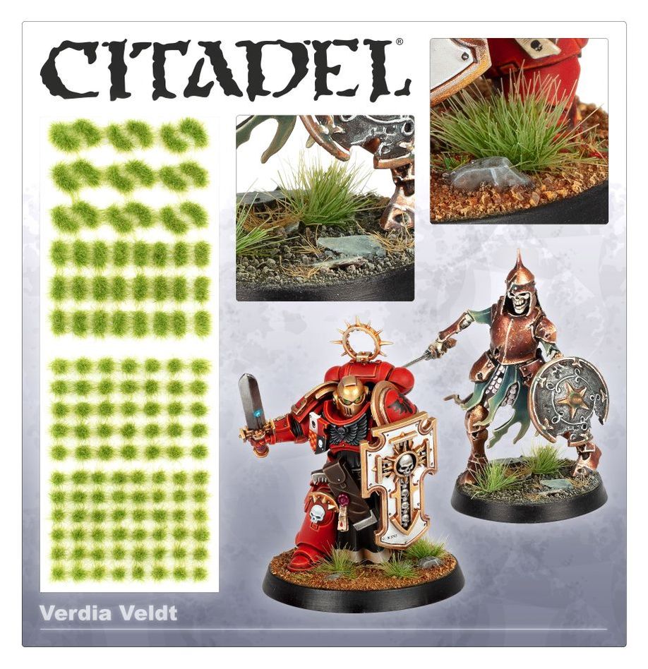 Verdia Veldt Tufts (Citadel | 66-25)