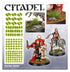 Verdia Veldt Tufts (Citadel | 66-25)