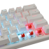White Shark Wakizashi - Wired Mechanical Keyboard (Red Switches) (White) [US Layout]
