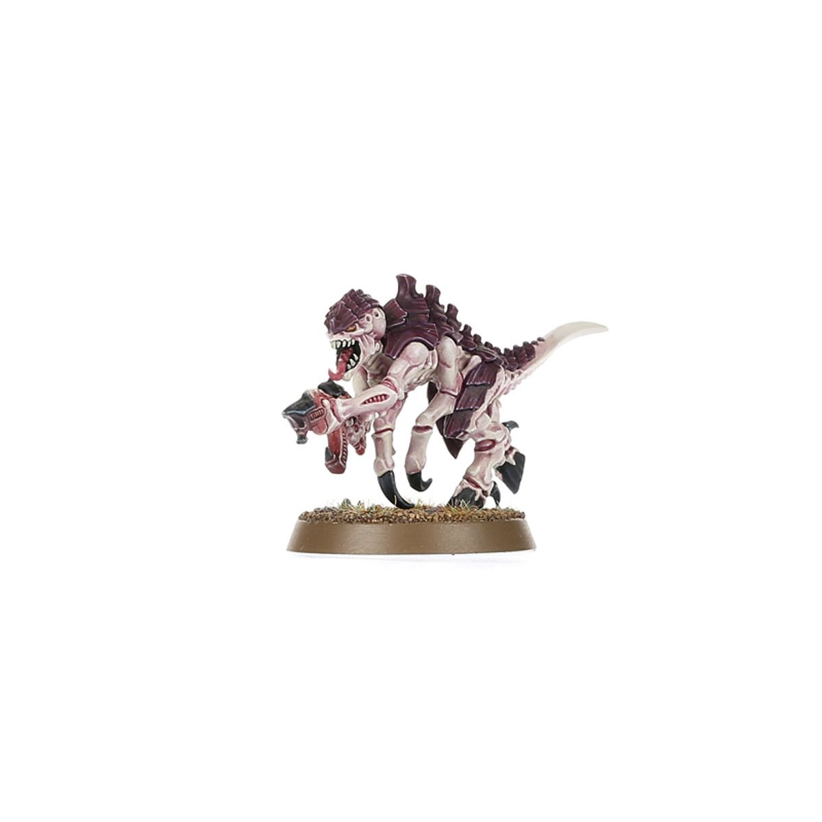 Warhammer 40,000 Introductory Set (Warhammer 40,000 | 40 - 04) - GameStore.mt