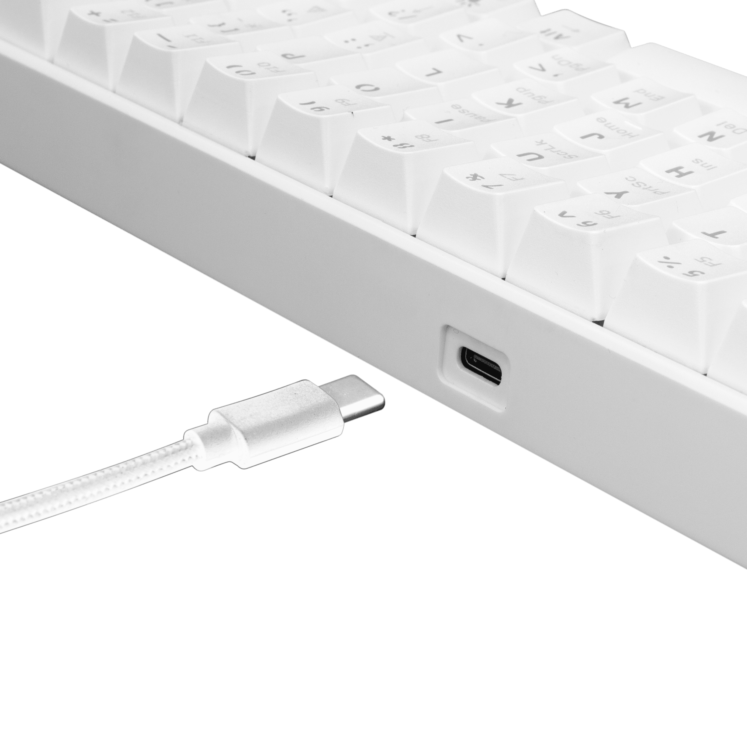 White Shark SHINOBI Keyboard - White (Blue Mechanical Switches) [US Layout] - GameStore.mt | Powered by Flutisat