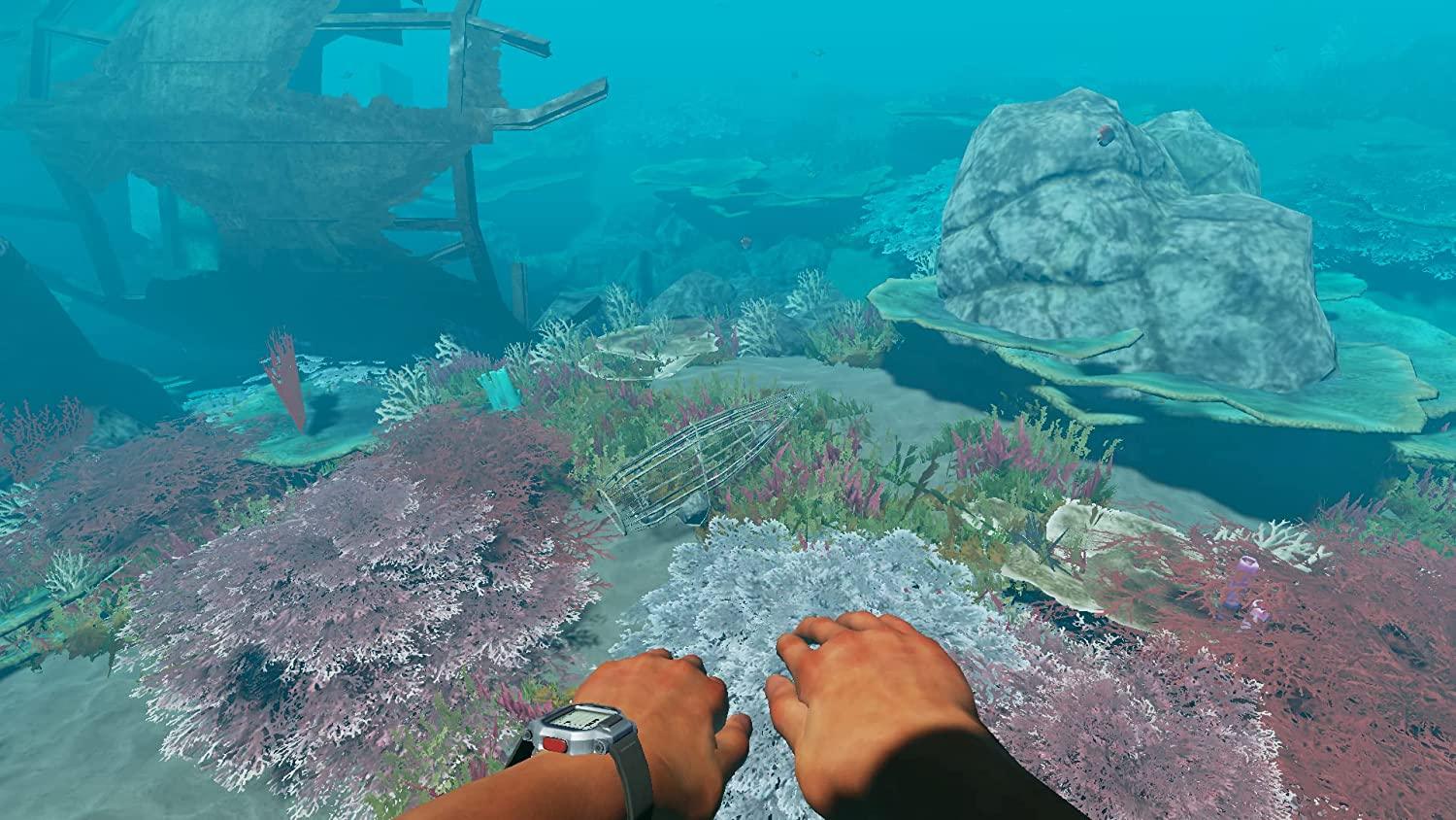 Stranded Deep (Nintendo Switch) - GameStore.mt | Powered by Flutisat