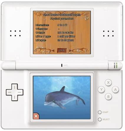 Dolphin Island (Nintendo DS) (Pre - owned) - GameStore.mt