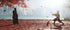 Ghost of Tsushima - Director's Cut (PS4) - GameStore.mt