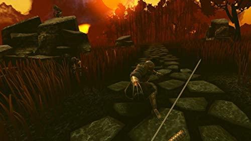 Ninja Legends (PSVR) (PS4) - GameStore.mt