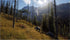 Way of the Hunter (PS5) - GameStore.mt