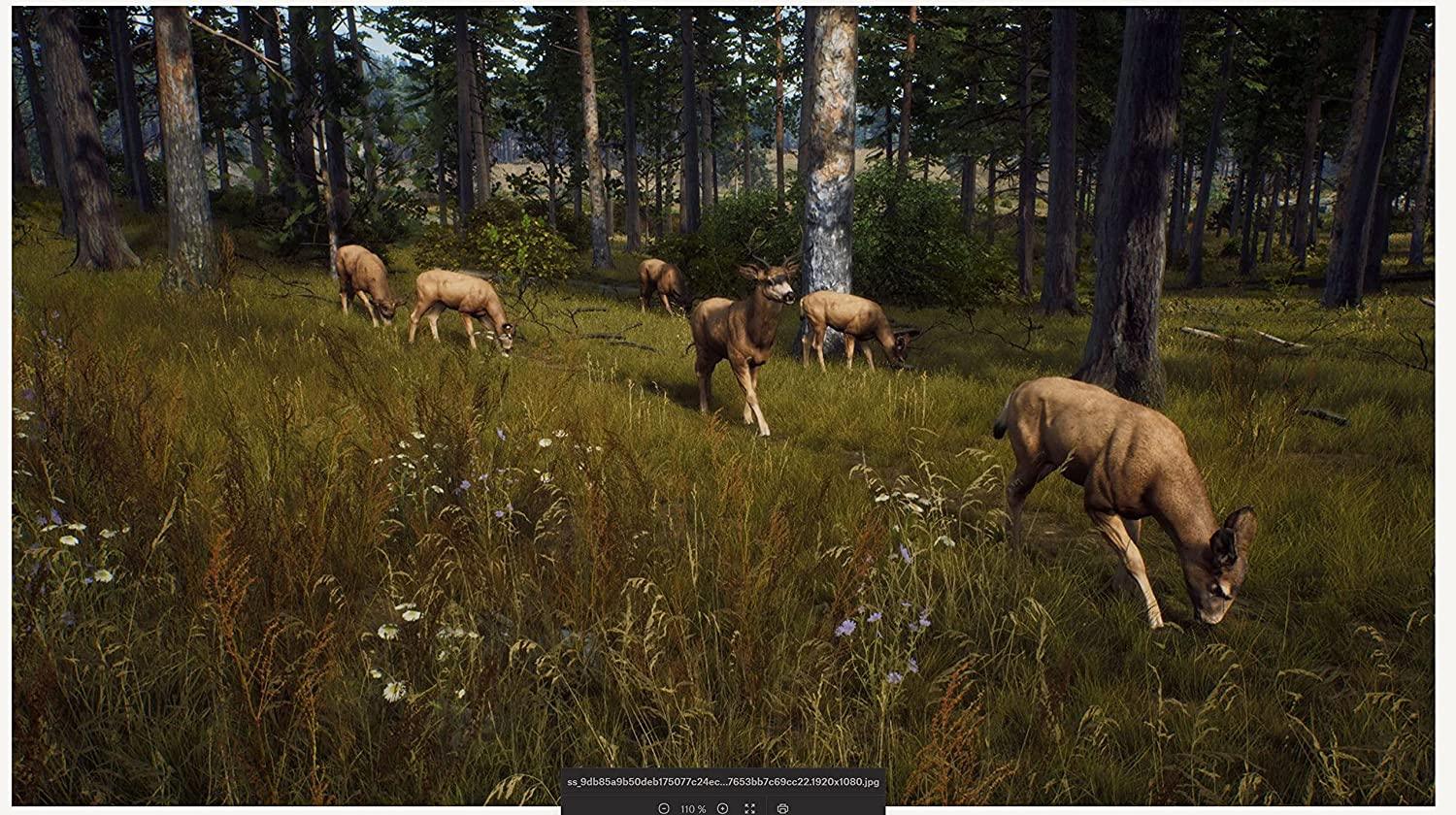 Way of the Hunter (PS5) - GameStore.mt