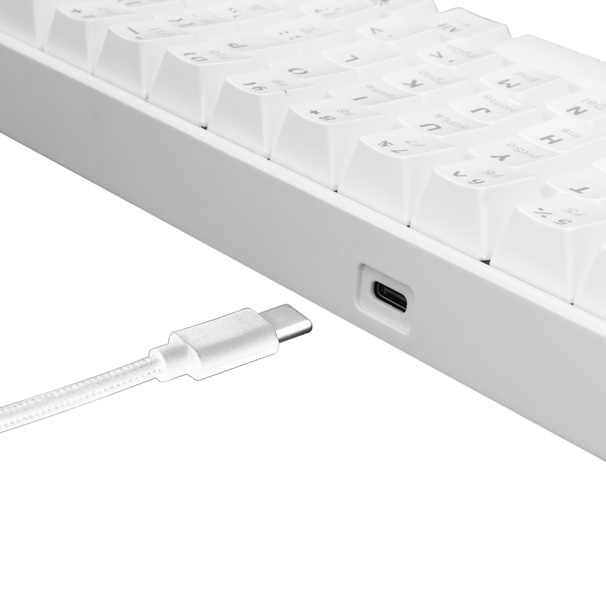 White Shark SHINOBI Keyboard - White (Blue Mechanical Switches) [US Layout] - GameStore.mt